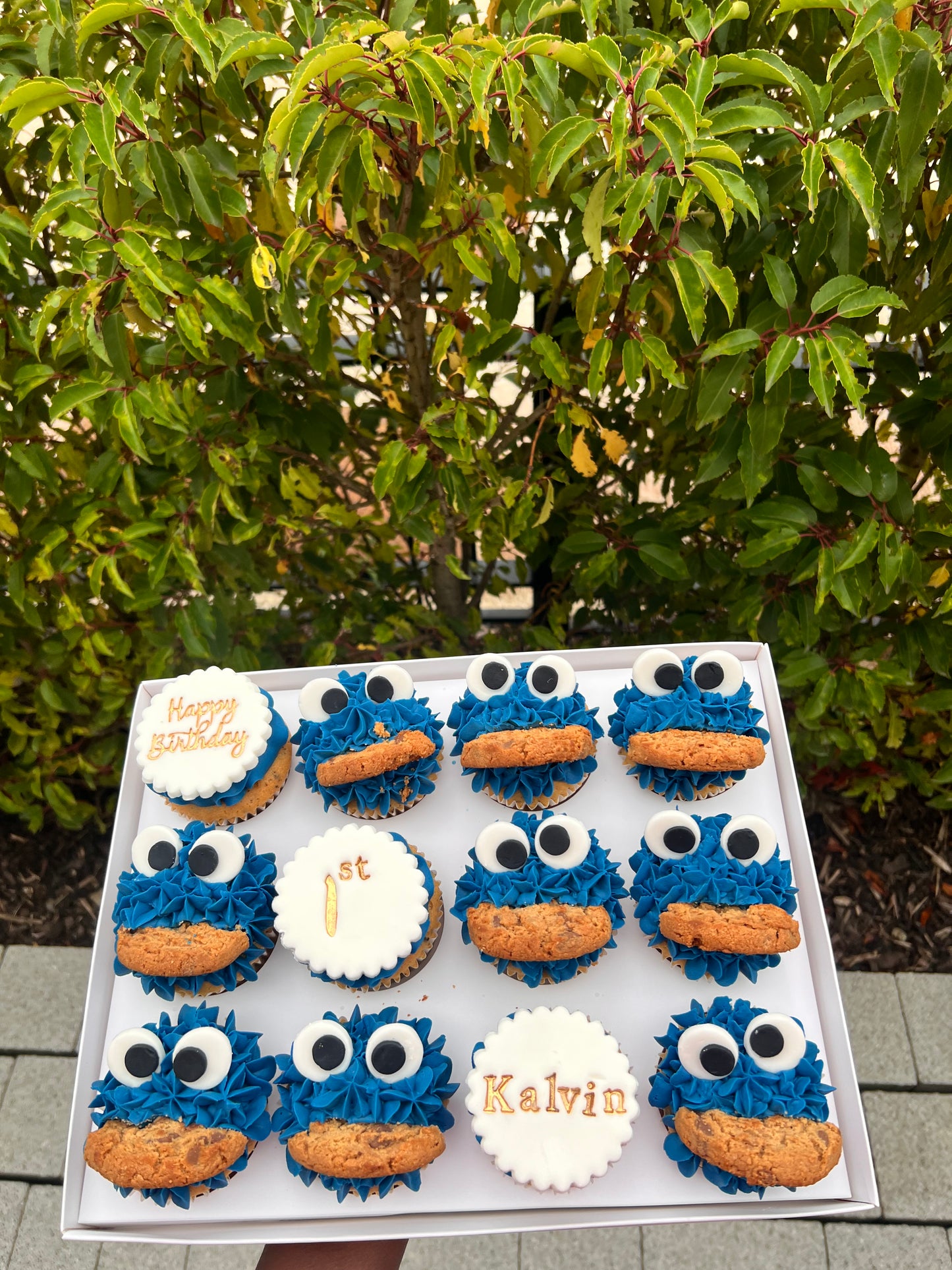 CUPCAKES