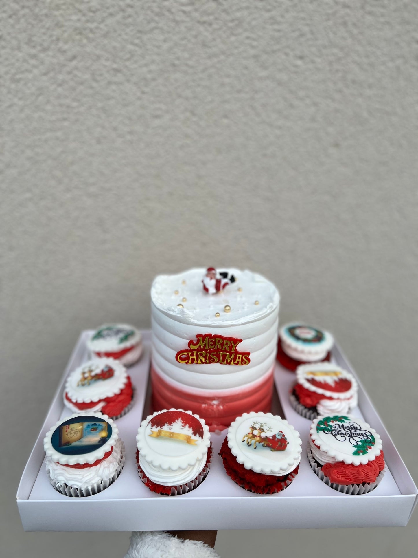 CAKE CUPCAKES SET