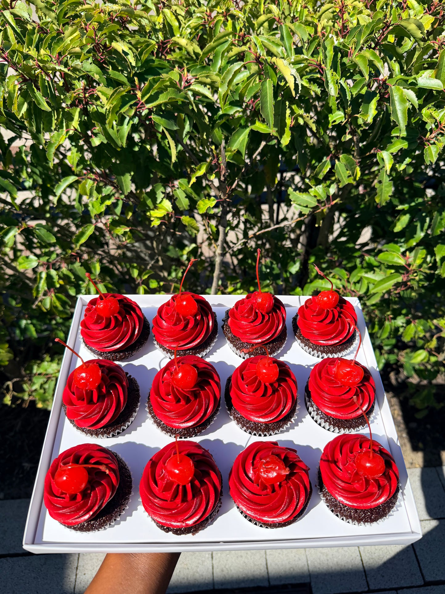CUPCAKES