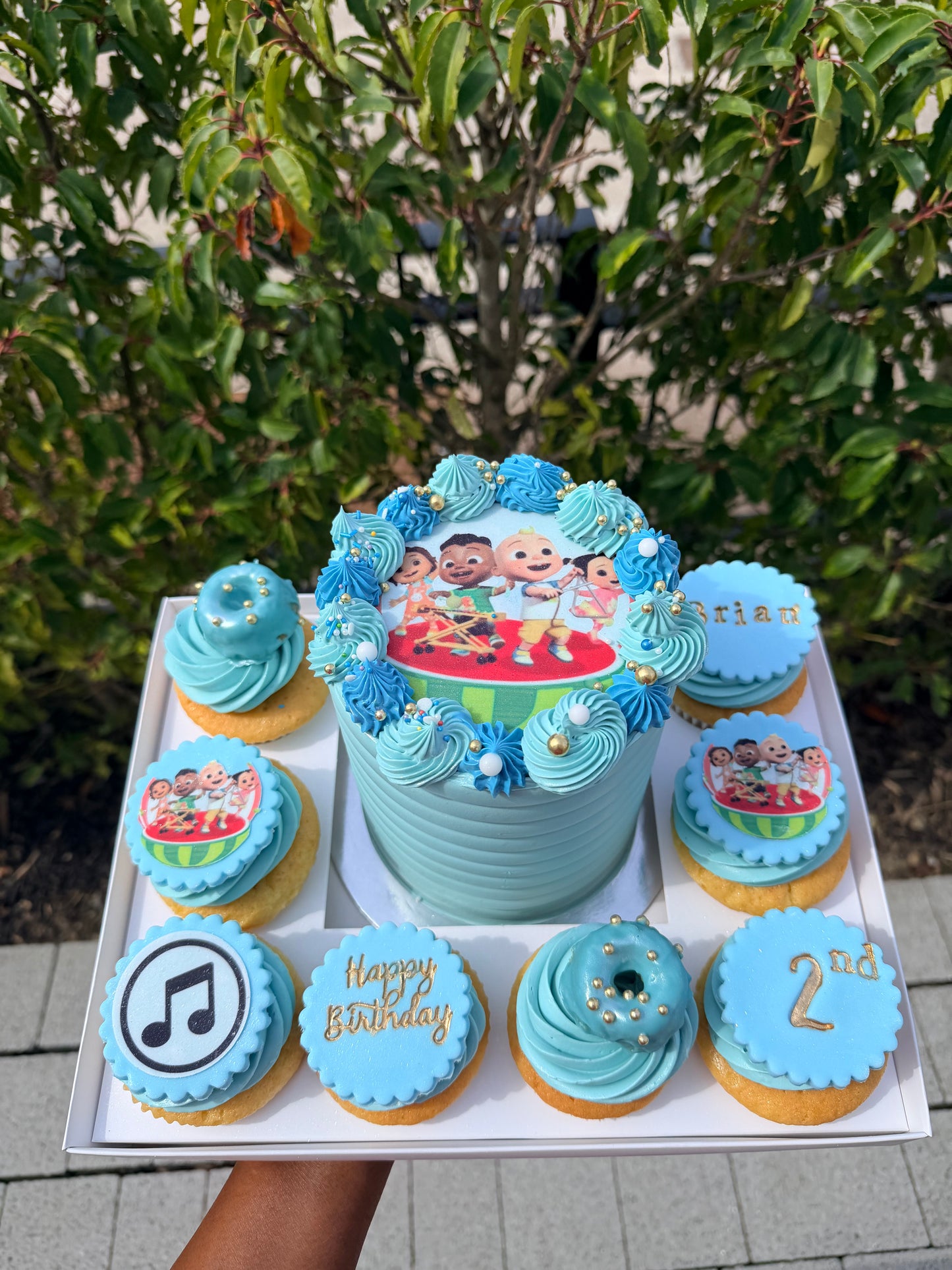CAKE CUPCAKES SET