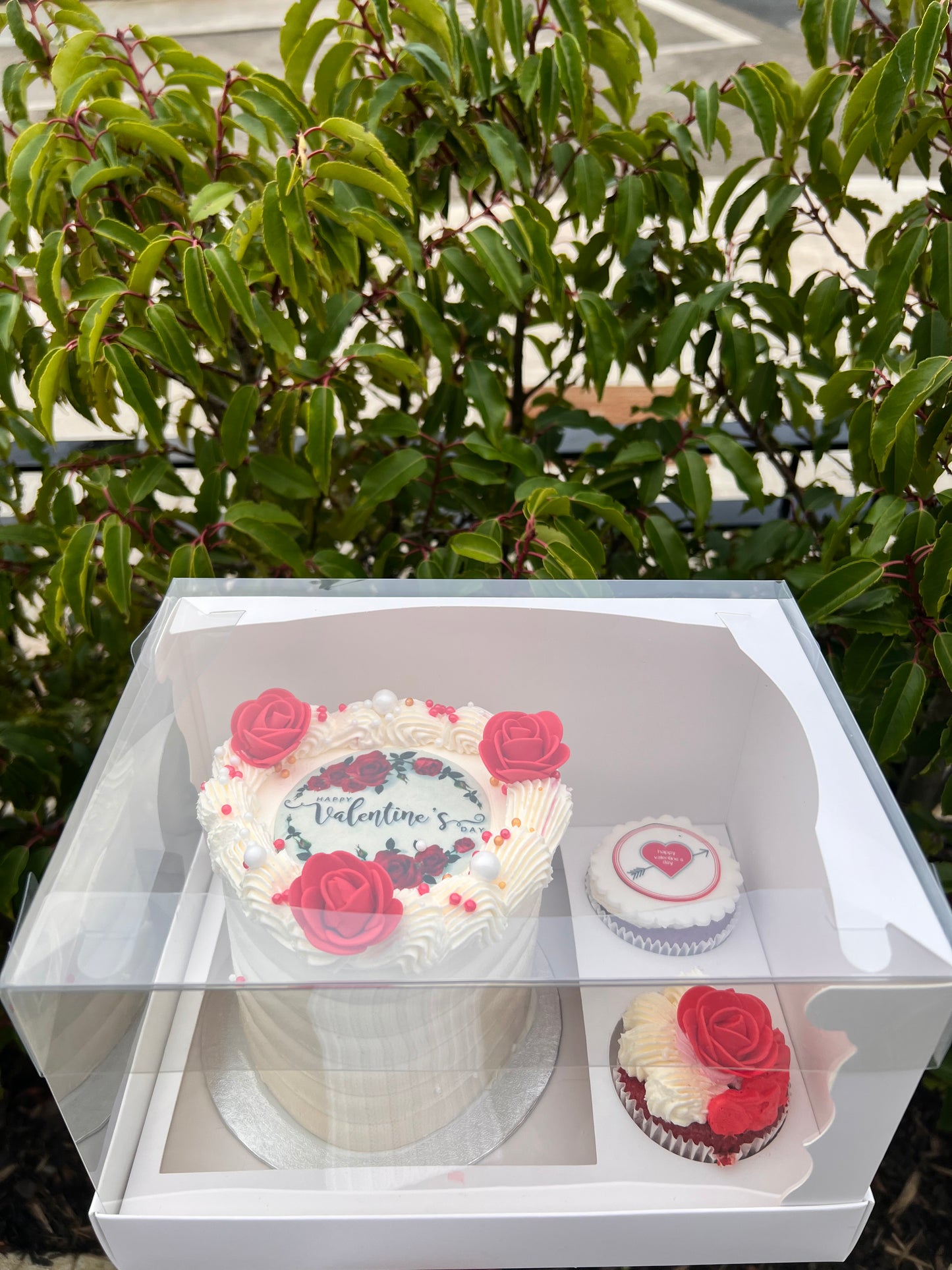 CAKE CUPCAKE SET