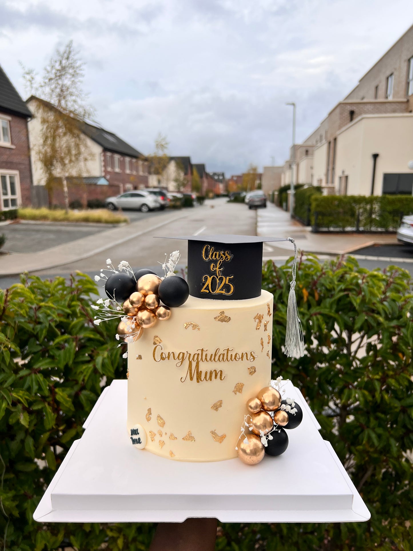 CELEBRATION 6” 2 LAYERS