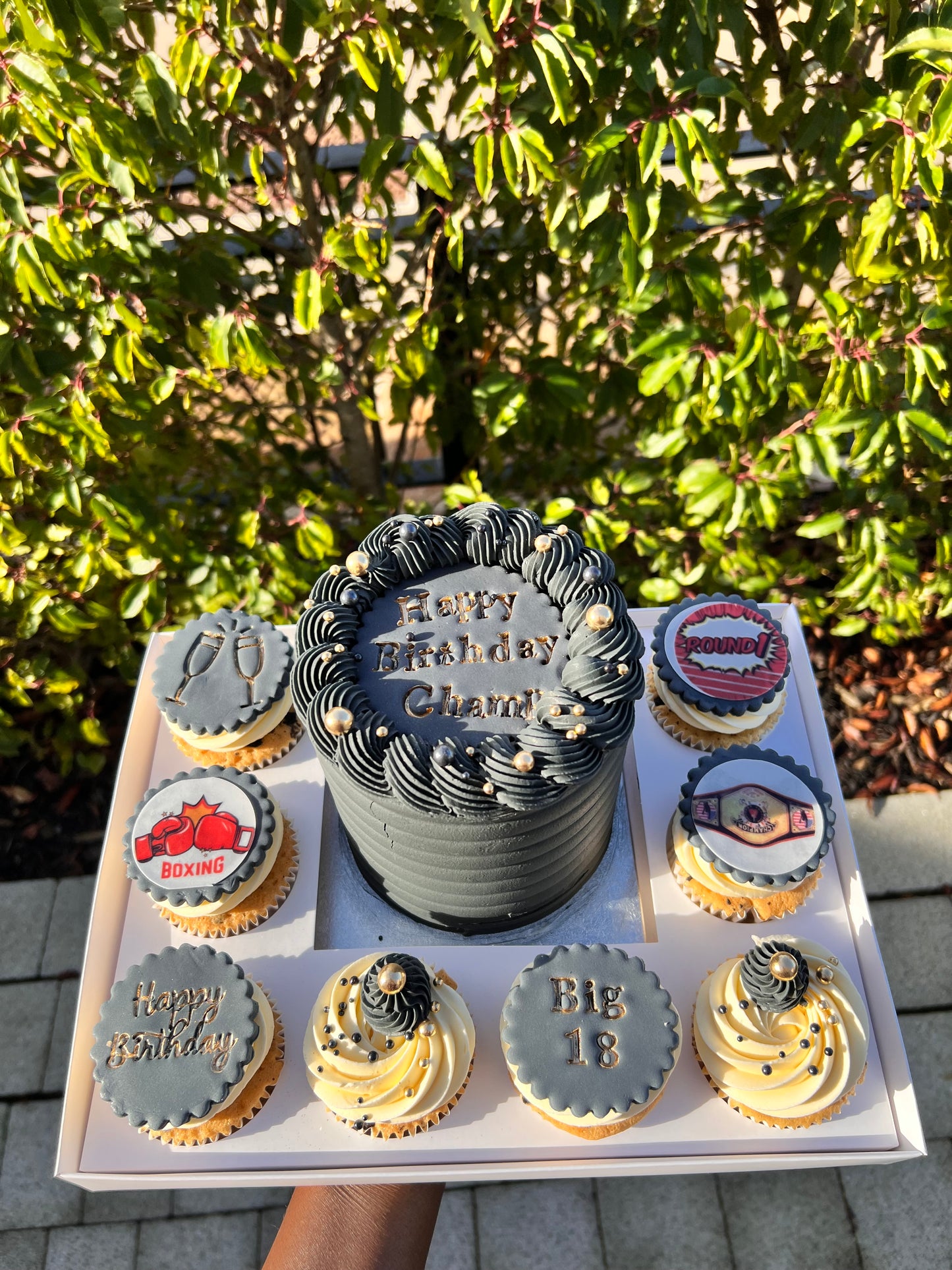 CAKE CUPCAKES SET