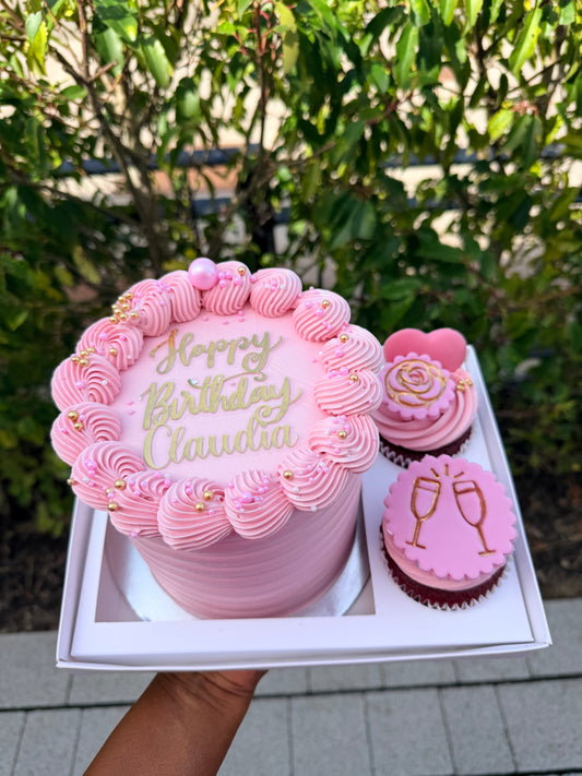 CAKE CUPCAKE SET