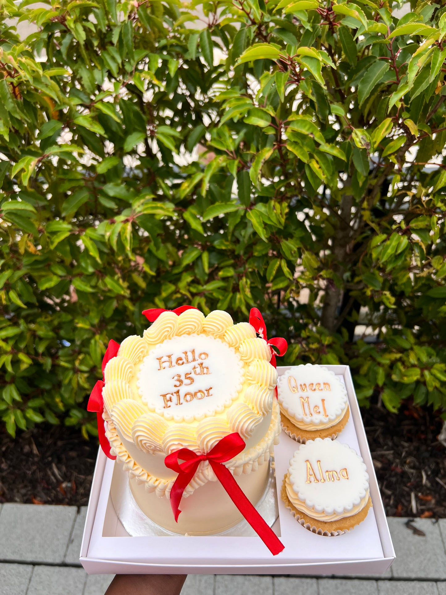 CAKE CUPCAKE SET