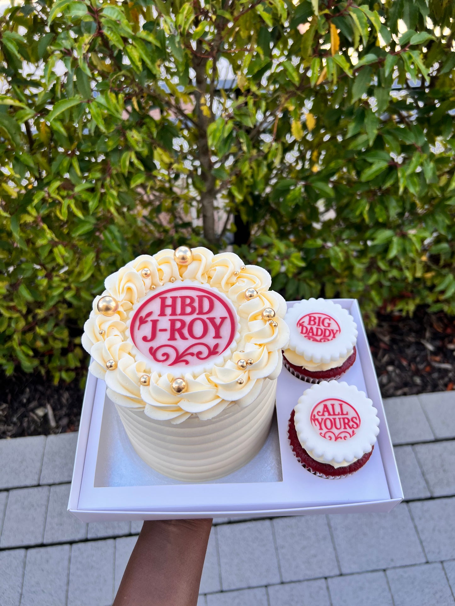 CAKE CUPCAKE SET
