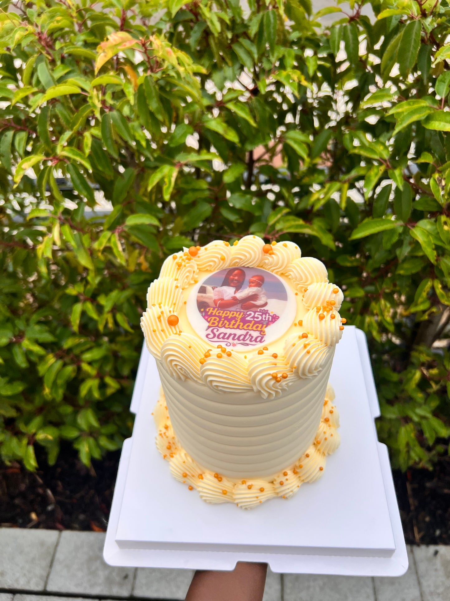 BENTO 5” ROUND